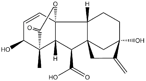 赤霉素GIBBERELLIC ACID，居然有這么神奇？